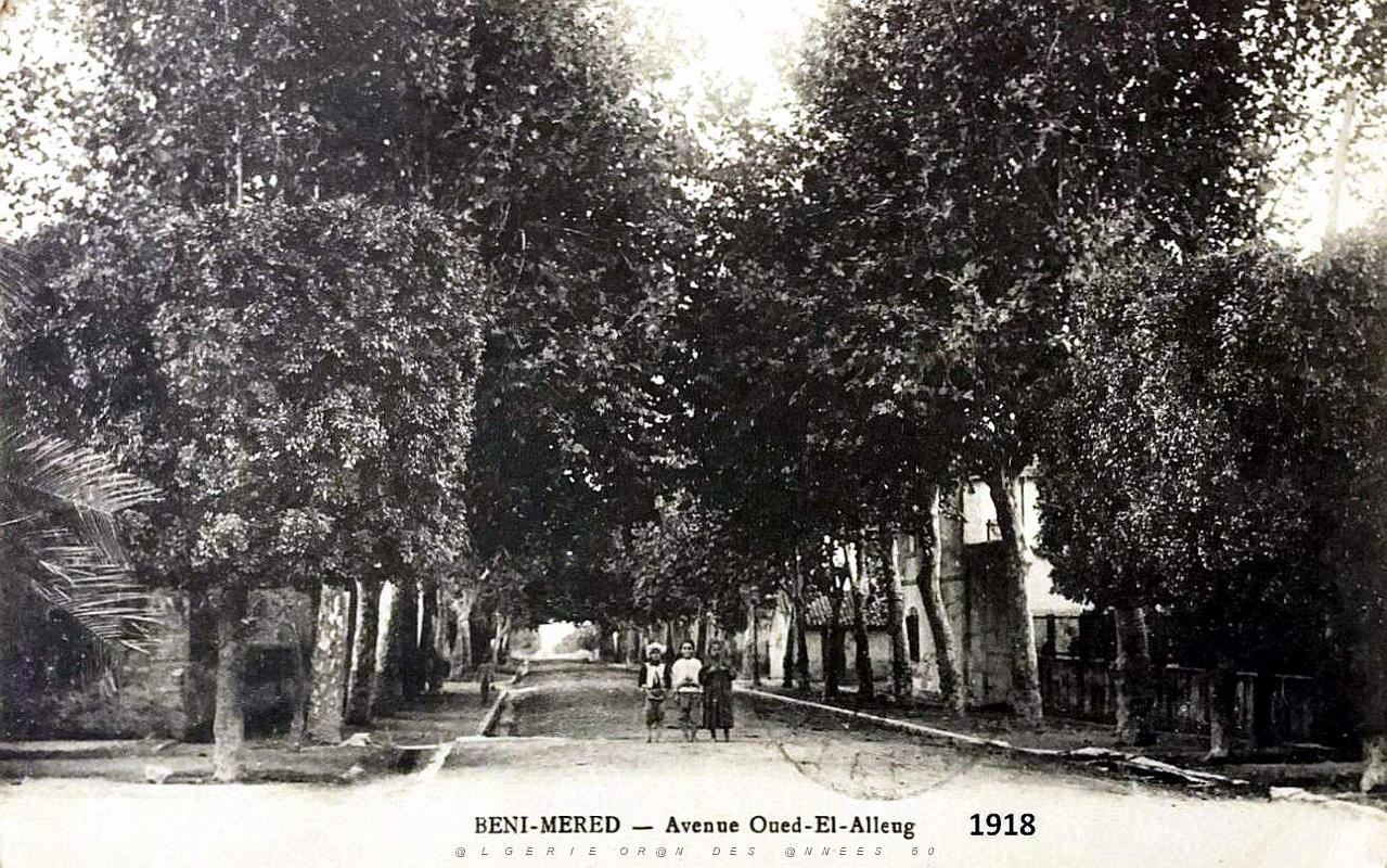 Beni-Mered - Avenue d'Oued-el-Alleug - 1918.jpg